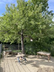 Gartenoben3